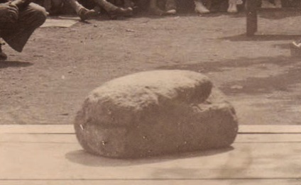 ALBIZURI HANDIA I albizuri handi 3