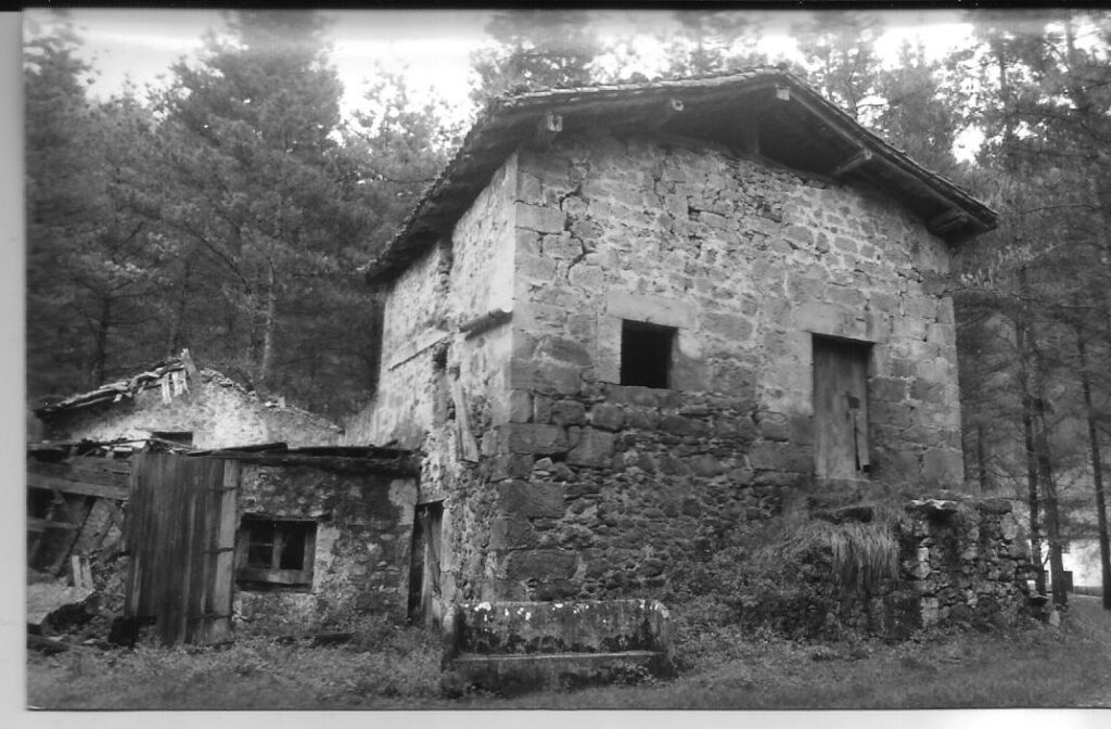 aulesti izena 2