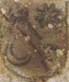 aulesti izenak 8